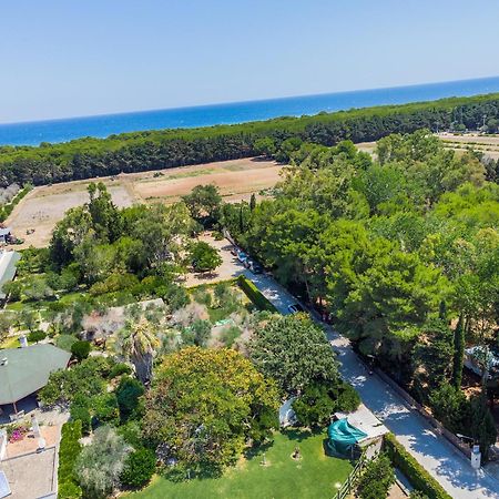 Bio Agriturismo Salos Alimini Exterior photo